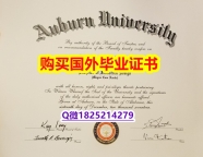 全套CT【美国奥本大学毕业证最新版】办理本科假学历