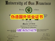 补办研究生《USF毕业证学籍信息入库】国外烫金照片