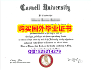 伪造硕士【美国康奈尔大学毕业证防伪工艺】办理学士学位证书