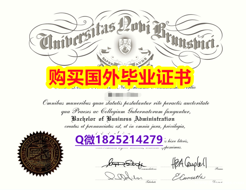 购买文凭证书【加拿大新不伦瑞克大学毕业证全套伪造】办国外学位证可找工作 购买文凭证书【加拿大新不伦瑞克大学毕业证全套伪造】办国外学位证可找工作