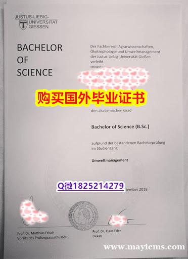 德国毕业证书【德国吉森大学毕业证2020版】办理硕士假学历 德国毕业证书【德国吉森大学毕业证2020版】办理硕士假学历