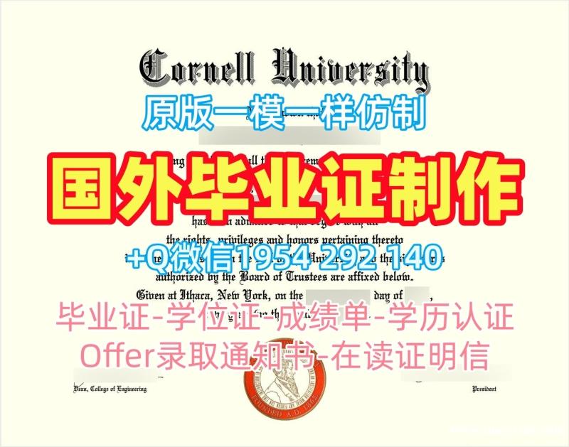 圣文森特山大学毕业证书PDF电子版MSVU成绩单GPA修改制作的五个常见误区Mount Saint Vincent University Degree Certificate 圣文森特山大学毕业证书PDF电子版MSVU成绩单GPA修改制作的五个常见误区Mount Saint Vincent University Degree Certificate