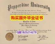 『学位证书影本』办理【美国佩珀代因大学毕业证购买流程】补办硕士假学历