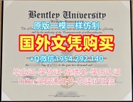 不列颠哥伦比亚大学电子版毕业证书UBC学历认证报告复刻的常见误区与解决方案Université de British Columbia Transcript