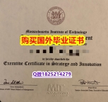 哪里可以做留信认证【美国斯隆管理学院毕业证改造】伪造成绩单