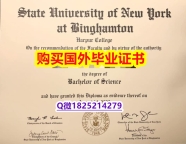 加Q微看样本 【美国宾汉姆顿大学毕业证1:1学校原版学校仿】伪造硕士假学历