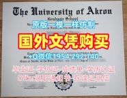 揭秘意大利SNS毕业证书比萨高等师范学校文凭证书英文的定制过程Scuola Normale Superiore di Pisa Academic Transcript