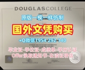 办理美国UCLA毕业证书加州大学洛杉矶分校文凭英文的详细指南University of California, Los Angeles Office Transcript