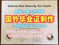 获取美国BC毕业证认证波士顿学院荣誉学位证书的最佳途径Boston College Office Transcript