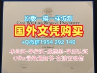 圣路易斯马利维尔大学毕业证认证usnews毕业文凭证书高仿的常见误区与解决方案Maryville University of St. Louis Bachloer Degree