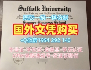 办理萨塞克斯大学研究生毕业证书Sussex学历认证报告的详细步骤University of Sussex Offer