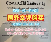 购买美国PSU硕士毕业证书宾州州立大学文凭证书的十大常见问题Pennsylvania State University Academic Transcript