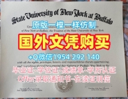 高仿葡萄牙UPorto毕业证书波尔图大学文凭英文的成功案例Universidad de Porto Graduate Certificate