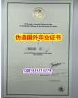 补办硕士文凭证书《SGUL毕业证offer录取通知书】办理学位证书