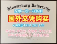 如何准备葡萄牙Lisboa毕业证书PDF电子版新里斯本大学文凭证书申请材料?Universidad Nova de Lisboa Master Diploma