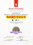 可办GRE【加拿大布鲁克大学毕业证全套伪造】补办研究生假学历