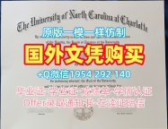 筑波大学本科毕业证Tsukuba电子版学位证书复刻的秘密与技巧University of Tsukuba Bachelor Diploma