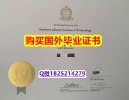 办理硕士文凭证书【加拿大北阿尔伯塔理工学院毕业证成品扫描】伪造文凭证书