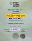 全套CT【加拿大尼亚加拉学院毕业证质量保证】办理学士成绩单