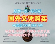 美国Northeastern硕士毕业证书东北大学成绩单密封邮寄的办理流程是什么？Northeastern University Master Degree