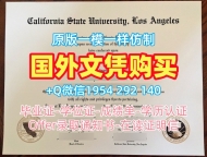 奇切斯特大学毕业证书电子版Chichester研究生学位证书定制的秘密University of Chichester Academic Transcript
