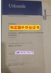 补办【德国弗莱堡大学毕业证样板】补办本科学位证书
