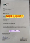 造假文凭证书【德国卡尔斯鲁厄理工学院毕业证案例】办理本科毕业证