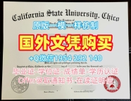 如何确保匈牙利CEU毕业证成绩单中欧大学硕士文凭证书申请成功?Central European University Office Transcript