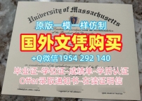 购买德国RWTH毕业证电子图亚琛工业大学学位证书的成功案例RWTH Aachen Degree Certificate