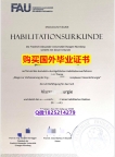 留学生学位证认证【德国埃尔朗根-纽伦堡大学毕业证复制】留学学分不够不能毕业怎么办