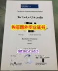 伪造【德国杜伊斯堡-埃森大学毕业证快速拿到】补办研究生成绩单
