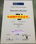 1:1学校原版学校仿《杜伊斯堡-埃森DUE大学毕业证 仿真】美国高校学位证书补办