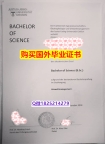 德国毕业证书【德国吉森大学毕业证2020版】办理硕士假学历