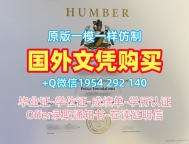 约翰内斯堡大学毕业证和学位证Johannesburg转学成绩单复刻的常见误区与解决方案University of Johannesburg Bachelor Diploma
