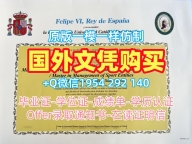 如何顺利办理比萨大学本科毕业证书Pisa本科文凭Università di Pisa Transcript