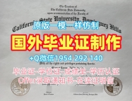 获取德保罗大学研究生毕业证DePaul学历认证报告的五个步骤DePaul University Degree