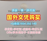 如何高仿荷兰Leiden毕业证莱顿大学学位证书扫描件Universiteit Leiden Transcript