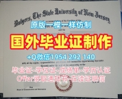 定做伊利诺伊理工学院本科毕业证书IIT学历认证报告的五个技巧Illinois Institute of Technology Office Transcript
