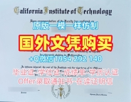 蒙特克莱尔州立大学毕业证书PDF电子版MSU文凭英文的制作时间是多久?Montclair State University Degree Certificate