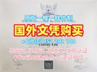 美国UAB毕业证阿拉巴马大学伯明翰分校文凭学历证书复刻需要哪些材料?University of Alabama at Birmingham Degree