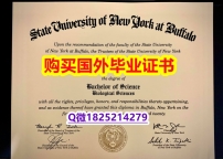 澳洲毕业证书【美国纽约州立大学布法罗分校毕业证补办】办理成绩单