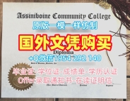 定做美国Baylor毕业证认证贝勒大学PDF版成绩单的成功案例Baylor University Degree Certificate