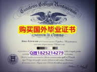 毕业证书多少钱【美国波士顿学院毕业证快速拿到】造假成绩单