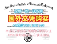 朴茨茅斯大学毕业证认证PortPDF版成绩单高仿步骤解析University of Portsmouth Graduate Certificate