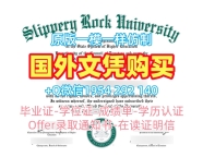 复刻美国Queens硕士毕业证书皇后学院本科学位的最佳方法Queens College (CUNY) Offer letter