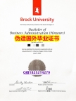 2020版《Brock毕业证在哪里可以伪造】留学生在哪里购买文凭证书