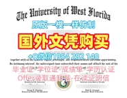 韩国snu电子版毕业证书首尔大学成绩单电子版办理全攻略Seoul National University Master Degree