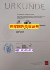 找工作【德国美因茨大学毕业证怎么样办伪造】网上购买文凭是不是骗人的?