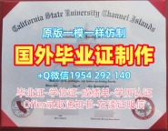 法国ENS研究生毕业证书巴黎高等师范学校硕士学历仿制的秘密与技巧École Normale Supérieure Paris Master Diploma