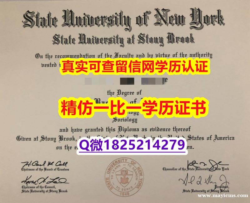【留学德国】【美国纽约州立大学-石溪分校毕业证本科学历】国外烫金照片 【留学德国】【美国纽约州立大学-石溪分校毕业证本科学历】国外烫金照片